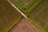 A paved path and a dirt road separate fields with an intersection diagonally