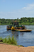 Uganda; Northern Region an der Grenze zur Western Region; Murchison Falls Nationalpark; am Victoria Nil; Giraffentransport auf der Fähre bei Paraa