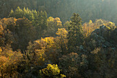 Rocks in the forest, Lieserpfad, Eifelsteig, near Manderscheid, Eifel, Rhineland-Palatinate, Germany
