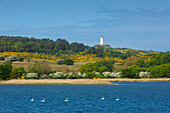 Blick von der Fähre zum Leuchtturm auf dem Dornbusch, Hiddensee, Ostsee, Mecklenburg-Vorpommern, Deutschland