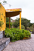 Jardin Canario Viera y Clavijo, Botanical Garden, Tafira, Las Palmas, Gran Canaria, Canary Islands, Spain