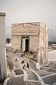 Katzen Rudel sitzt vor Wohnhaus in Pyrgos, Santorini, Santorin, Kykladen, Ägäisches Meer, Mittelmeer, Griechenland, Europa