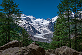 Glacier tongue of the Morteratsch Glacier in the Engadin in the Swiss Alps in summer