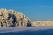 Landschaft bei Levi, Finnland