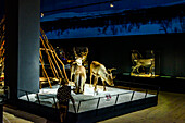 Das Arktikum ist ein Museum im Zentrum von Rovaniemi, Finnland.