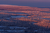 View from Kuertunturi, Hike to Kuertunturi, Landscape near Aekaeslampolo, Aekaeslampolo, Finland