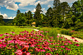 Painter&#39;s view in the spa gardens of Bad Pyrmont in summer, Lower Saxony, Germany
