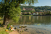 Junge Menschen in der Abendsonne am Neckar, Heidelberg, Baden-Württemberg, Deutschland