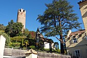Am Gscheibter Turm, Bozen, Südtirol, Italien