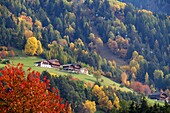 Bei Seis, Schlerngebiet, Südtirol, Italien