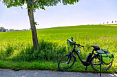 Vilstalradweg, Fahrrad, Hügellandschaft, grünes Weizenfeld, Bayern, Deutschland