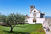 Assisi; Basilica San Francesco; Oberkirche, Umbrien, Italien
