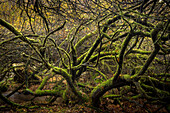 In the Hafenlohr valley, Bavarian Spessart, Bavaria, Franconia, Germany