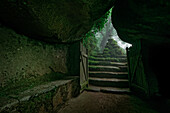 Märchenhafter Wald nahe dem Convento dos Capuchos, Sintra, Portugal