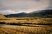 Steppe landscape near El Chalten, Fitz Roy Massif, Santa Curz Province, Patagonia, Argentina, South America