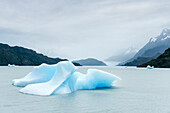 Drifting ice floe at Gray Glacier, Torres del Paine National Park, Patagonia, Última Esperanza Province, Chile, South America