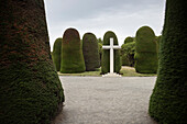 Zierbäume im Friedhof "Cementerio Municipal Sara Braun", Punta Arenas, Patagonien, Chile, Südamerika