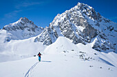 Skitourengeher zieht eine Aufstiegsspur im Tiefschnee zum Tajakopf in Ehrwald, blauer Himmel mit Sonnenschein