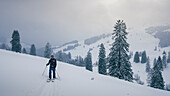 Skitour auf die verschneite Lacherspitze im Sudelfeld in Bayern, Skitourengeher im Schnee zwischen verschneiten Bäumen