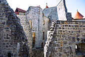 summer; Žužemberk castle, castle walls