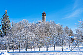 Burgruine Wildenburg bei Kempfeld, Hunsrück-Nationalpark, Rheinland-Pfalz, Deutschland