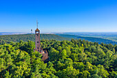 Luftansicht des Bismarckturms von Kallstadt, Pfälzer Weinstraße, Bad Dürkheim, Rheinland-Pfalz, Deutschland