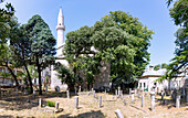 Mostar; Karađozbeg Mosque; cemetery
