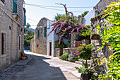 Osor; island of Cres; alley