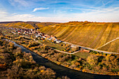 The 'Escherndorfer Lump' vineyard in autumn, Escherndorf, Volkach, Kitzingen, Lower Franconia, Franconia, Bavaria, Germany, Europe