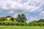 Luvigliana di Torreglia, Villa dei Vescovi, Colli Euganei