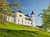Blooming pear tree, Basilica, Sonntagberg, Upper Austria, Austria