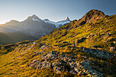 Spitzen, Wetterhorn, Schreckhorn, Grindelwald, Berner Oberland, Schweiz