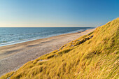 Strand und Dünen an der Nordsee, Løkken, Nordjütland, Jütland, Dänemark