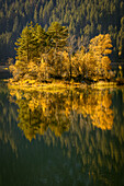 Small island in the autumnal Eibsee, Grainau, Upper Bavaria, Bavaria, Germany