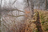 Verwunschener Weg entlang der der Ammer im Winter, Weilheim, Bayern, Deutschland, Europa