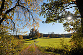 Spaziergang im Weilheimer Moos an einem sonnigen Tag im Oktober, Weilheim, Bayern, Deutschland