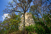 At the Siegenstein castle ruins, Cham, Upper Palatinate, Bavaria, Germany