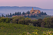 Castello Banfi early morning, Province of Grosseto, Tuscany, Italy