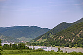Wachau mit Kreuzfahrtschiff, Blick auf Spitz, Niederösterreich, Österreich