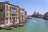 Venedig, Ausblick von Ponte dell'Accadmia auf Palazzo Cavalli-Franchetti, Canal Grande, Peggy Guggenheim Collection und Santa Maria della Salute, Venetien, Italien