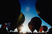 Heißluftballons auf dem Festival, Albuquerque International Balloon Fiesta, Albuquerque, New Mexico, USA