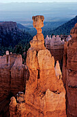 Erodierte Felsen in einer Schlucht, Thors Hammer, Bryce-Canyon-Nationalpark, Utah, USA