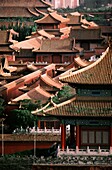 Roofs of buildings, Gate of Divine Might, Forbidden City, Beijing, China