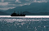 Schiff im Meer mit Bergen im Hintergrund, Hong Kong