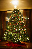 Decorated Christmas tree in a warm living room with a star on top.