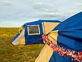 Two tents decorated with tinsil on grassy field