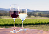 Glass of red and white wine on wooden table with view of vineyard in background