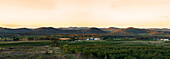 Panorama des Weinbergs mit sanften Hügeln dahinter am frühen Abend