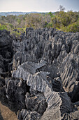 sharp-edged karst landscape, Tsingy de Bemaraha National Park, Madagascar, Mahajanga Province, Africa, UNESCO World Heritage Site