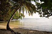 traumhafte Bucht gesäumt von Palmen, Nosy Nato, Ile aux Nattes, Madagaskar, Indischer Ozean, Afrika